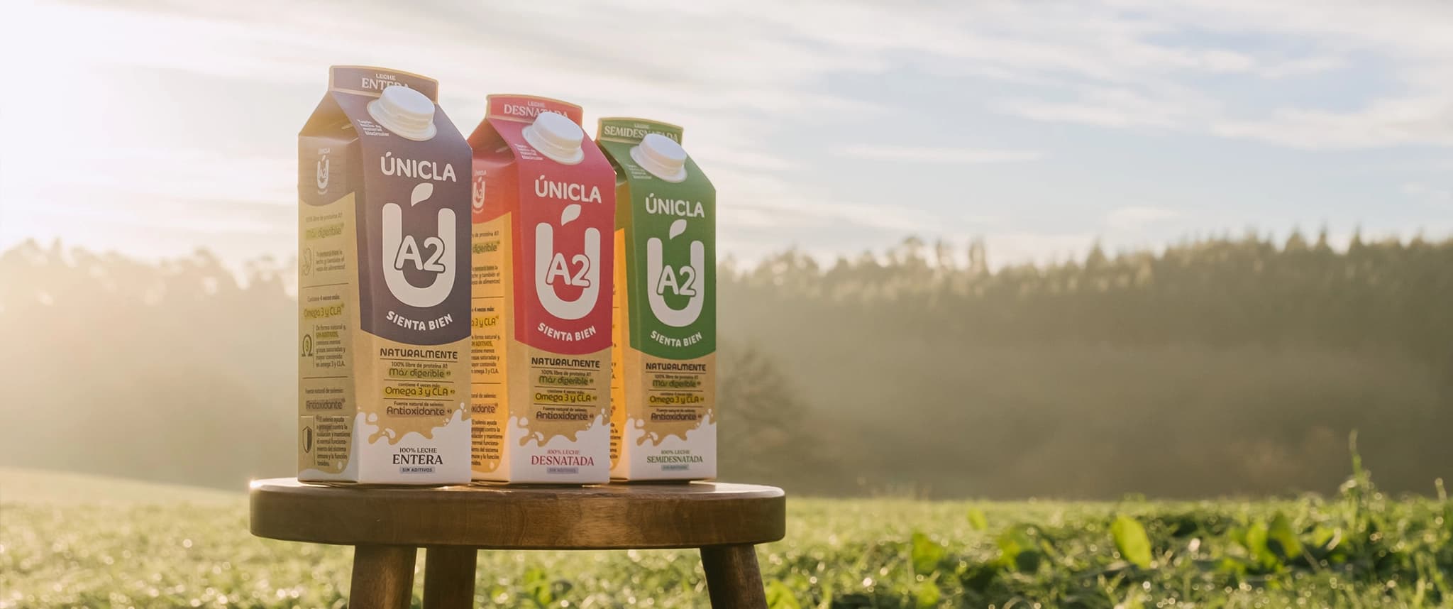 Únicla